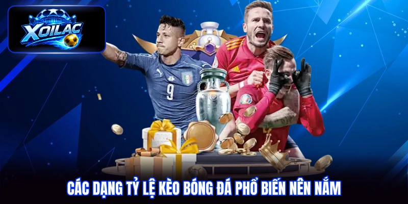 Các dạng tỷ lệ kèo bóng đá phổ biến nên nắm