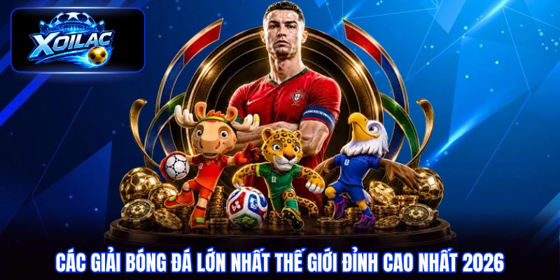 các giải bóng đá lớn nhất thế giới