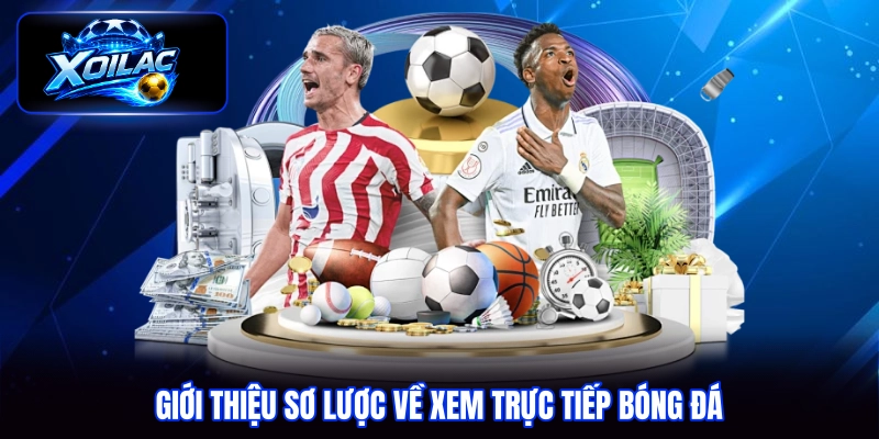 Giới thiệu sơ lược về xem trực tiếp bóng đá