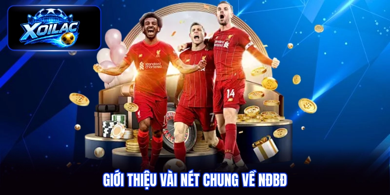Giới thiệu vài nét chung về NĐBĐ