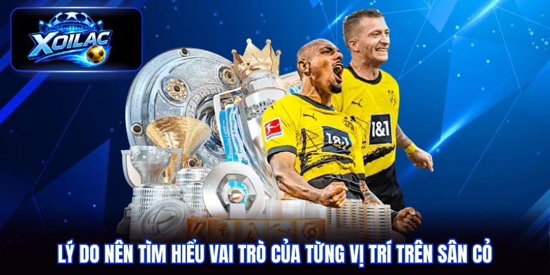 Lý do nên tìm hiểu vai trò của từng vị trí trên sân cỏ