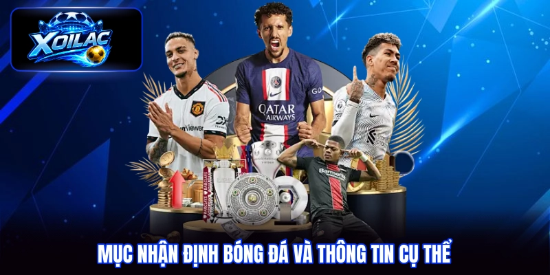 Mục nhận định bóng đá và thông tin cụ thể