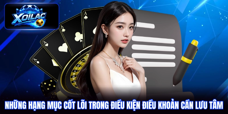 Những hạng mục cốt lõi trong điều kiện điều khoản cần lưu tâm