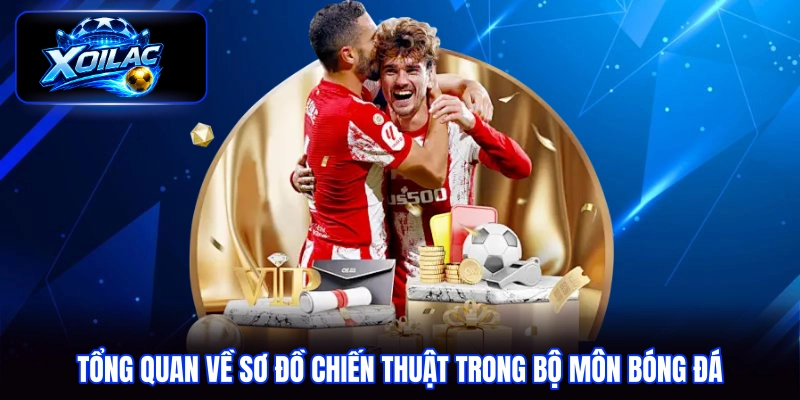 Tổng quan về sơ đồ chiến thuật trong bộ môn bóng đá