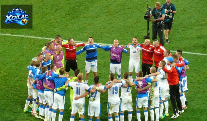 Đội tuyển Slovakia thi đấu trong một trận quốc tế tại EURO 2016